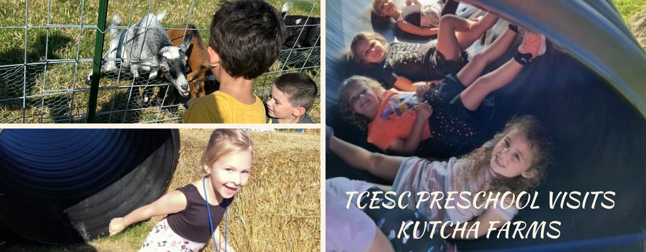 Kutcha Farms